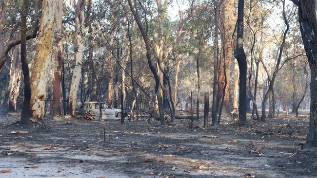 The aftermath of a bushfire near Cooroibah. Picture: Noosa Council