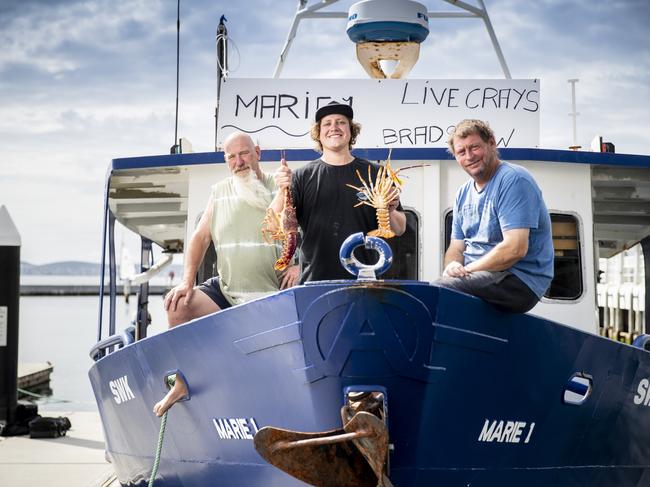 Leigh Sear, Dan Bradshaw and Marie 1 captain Stephen Bradshaw. Local crayfish for sale on Hobarts waterfront as fishermen look for alternatives to export. Picture: RICHARD JUPE