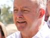 Albanese’s popularity hits new high