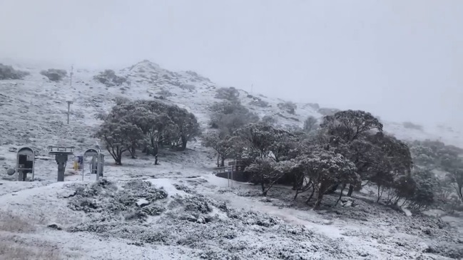 Australia's Ski Resorts Receive Big Snowfalls as Cold Snap Blows Across Nation's South-East