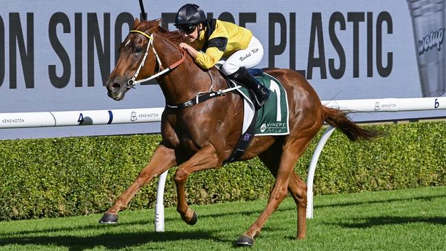 Ray Thomas is keen on Cruel Summer's chances at Royal Randwick on Saturday. Picture: Bradley Photos