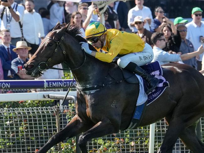 Estriella wins the Sunlight Classic at Flemington in March. Picture: George Sal-Racing Photos