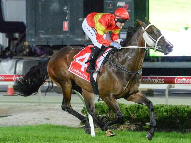 Night People (NZ) ridden by Craig Newitt wins the Melbourne Civil Group Maiden Plate at Cranbourne Racecourse on April 26, 2024 in Cranbourne, Australia. (Photo by Ross Holburt/Racing Photos via Getty Images)