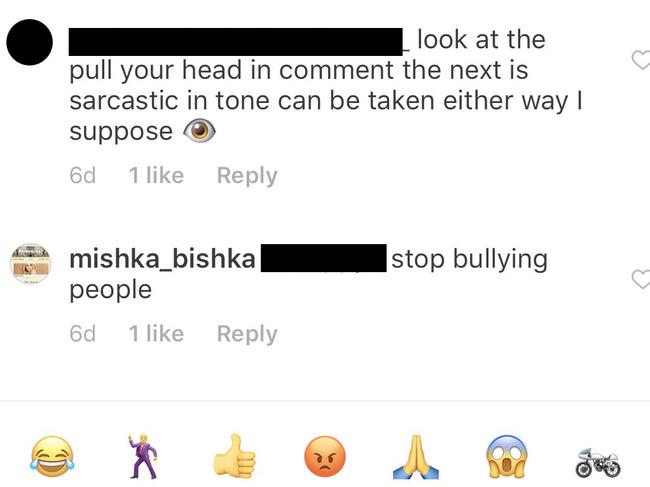 Instagram exchange between online trolls and Premier Gladys Berejiklian’s sister Mary aka mishka_bishka.