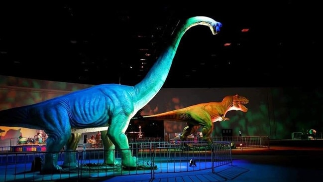 The unique exhibition aims to expose parents as well as children to new ideas and concepts in the developing world of science and technology. Picture: The Dino Expo