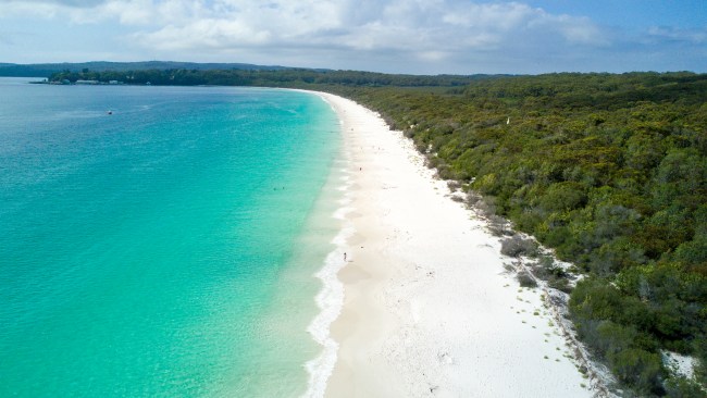 South Coast guide and Huskisson pub owner Scott Mileto shares ...