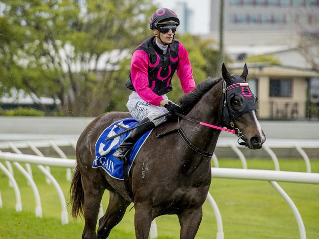 Luke Dittman on board Captivated at the Gold Coast Turf Club. Picture: Jerad Williams