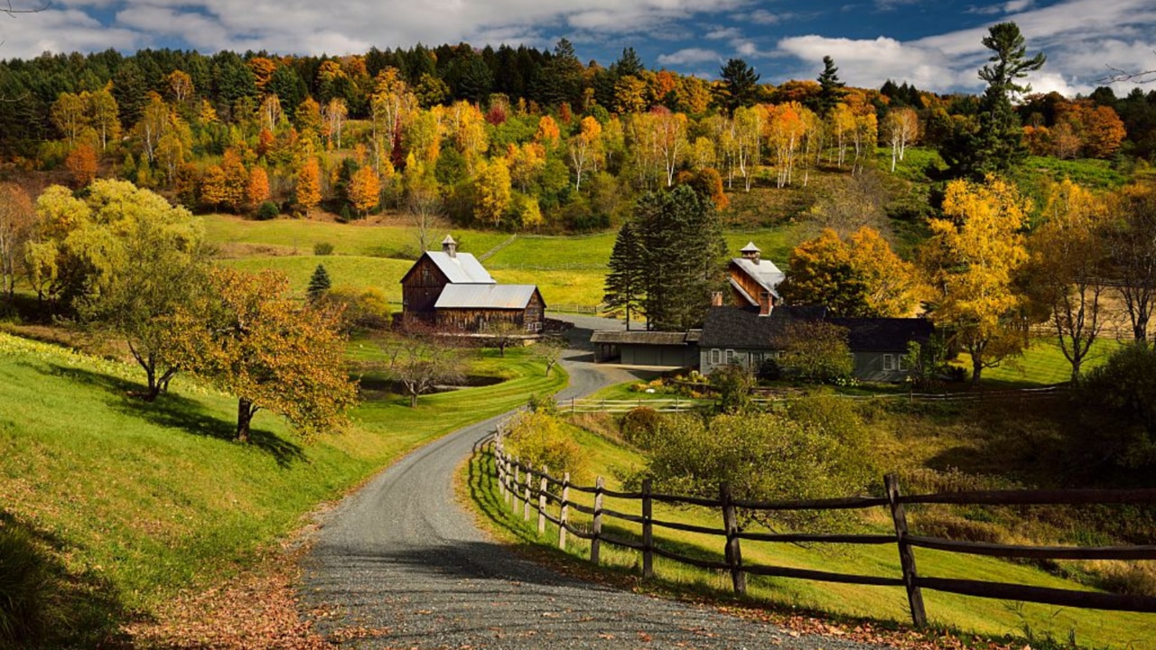 US town bans influencers and tourists from visiting its photogenic autumn foliage