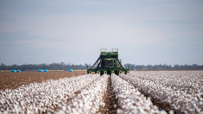 Offers for CK Life Sciences’ Boongargil cotton farm, as a whole, are expected to reach $35 million.