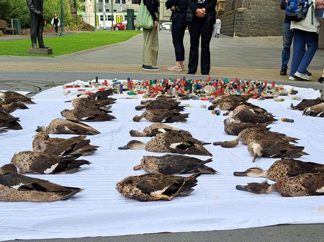 About 40 dead ducks make up the grim display.