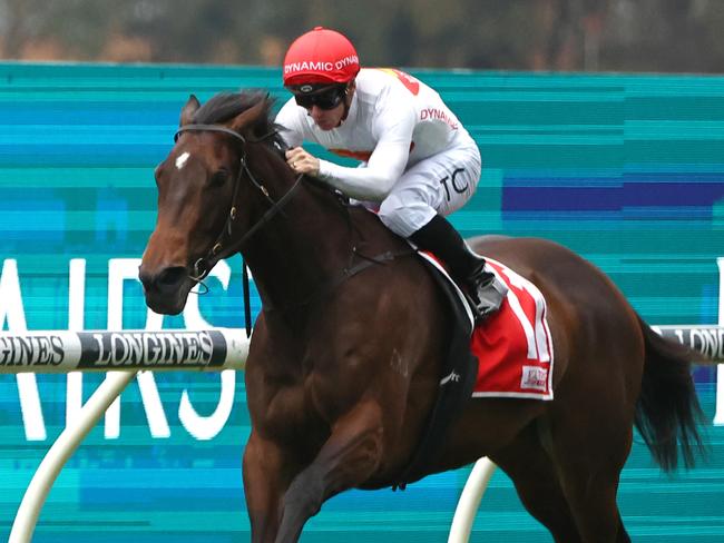 SYDNEY, AUSTRALIA - AUGUST 05: Tim Clark riding I Am Me wins Race 8 Toyota Forklifts Missile Stakes during 