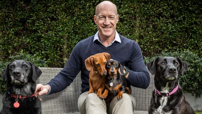 Former Carlton player, vet Dr Andrew McKay, at home with his dogs, Andrew has also a line of supplements people can buy to help dogs with anxiety. Wally, Peggy, Poppy,  and Winnie. Picture: Jake Nowakowski