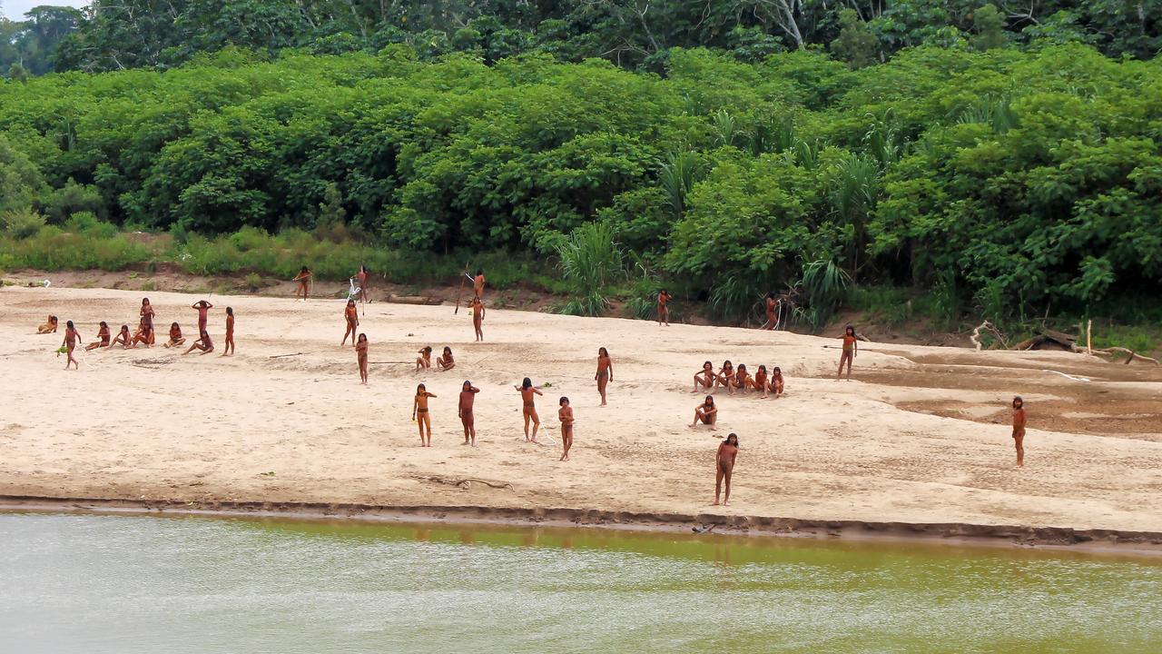 Campaigners say they’re a graphic illustration of the urgent need to revoke all the logging licenses in the area, and recognise that the territory belongs to the Mashco Piro people. Picture: Survival International