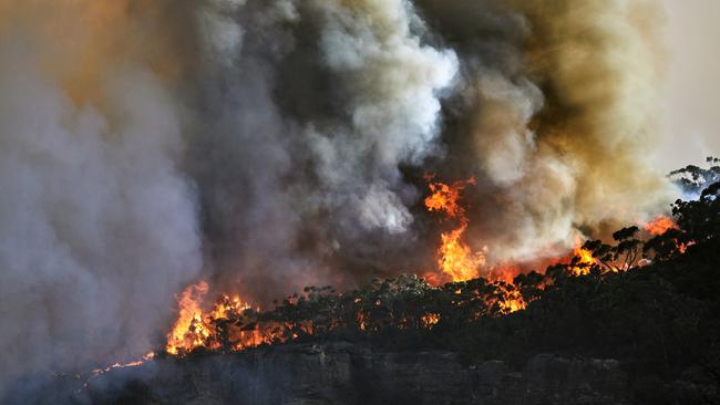 A bushfire in the Blue Mountains, west of Sydney, in the 2019-2020 Black Summer season.