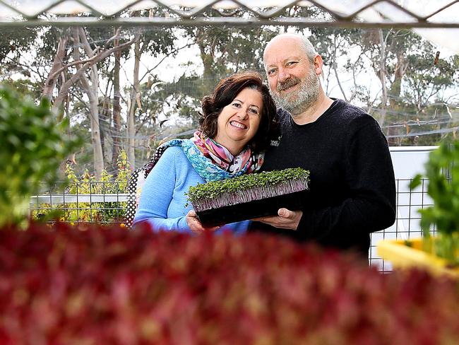 Lynda Stellamaris and Mark Fonderie, of Mount Nelson, from Naked Carrot who won the herbs and spices category at the Fine Food awards. Picture: SAM ROSEWARNE.