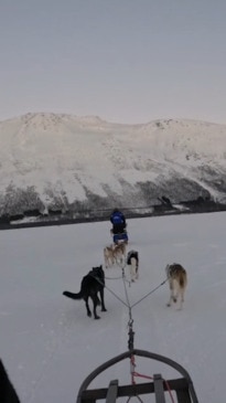 Husky dog-sledding in Norway