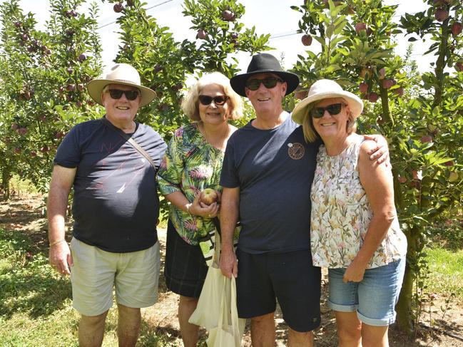 (From left) Mark, Liza, Dale and Fiona at Nicoletti Orchards 'pick your own' event during Stanthorpe's Apple and Grape Harvest Festival on Saturday, March 2, 2024. Photo: Jessica Klein