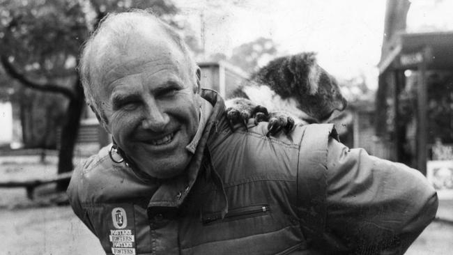 Author, commentator Clive James in Adelaide for the Australian Formula One Grand Pix.  Pictured at Cleland Wildlife Park with Katie, the koala, 23 Oct 1986.  (Pic by unidentified staff photographer)