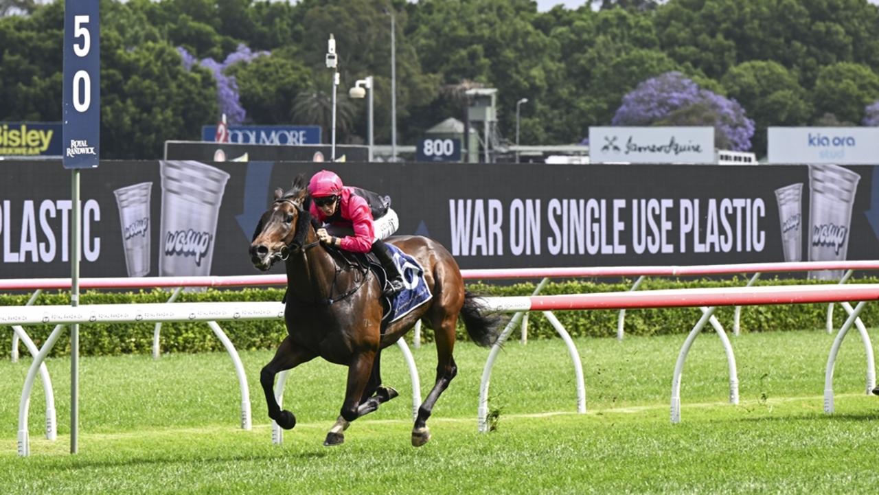 Gallant Star stamps Country Championships favouritism in Qualifier