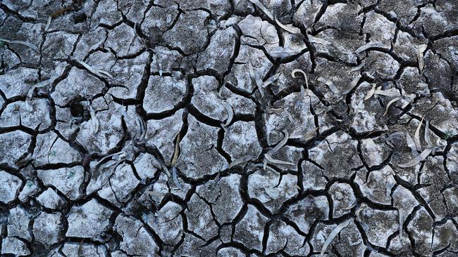 The dry river bed of the Darling River that runs through Karoola Station about an hour south of Menindee. Picture: Rohan Kelly