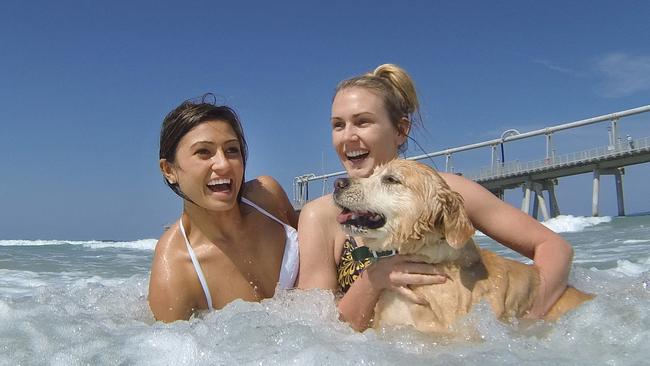 Amanda Hamlyn, left, and Taylor Mothershaw with dog Gemma enjoying the hot weather at The Spit. Photo: Luke Marsden.