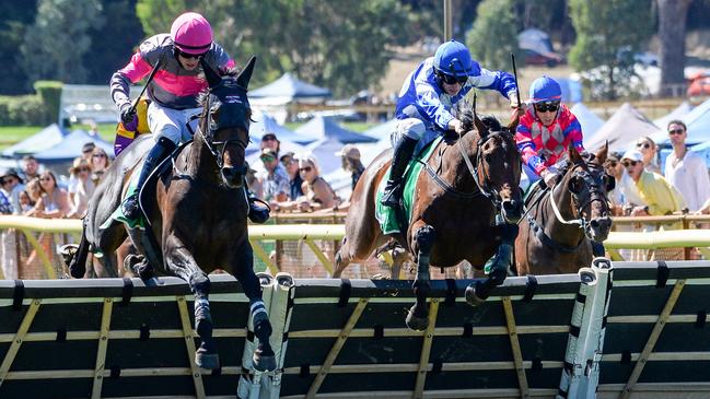 Britannicus (pink cap) on his way to victory in the Harry D. Young Hurdle at Oakbank this year. Photo: Brenton Edwards.