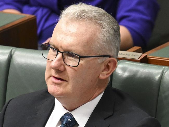 CANBERRA, AUSTRALIA  - NewsWire Photos - November 7, 2024: Leader of the House, Minister for Home Affairs and Minister for the Arts, Tony Burke during Question Time at Parliament House in Canberra. Picture: NewsWire / Martin Ollman