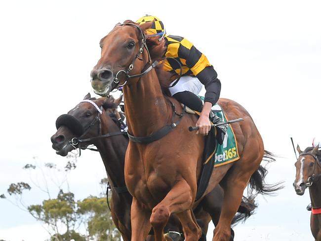 Holymanz (NZ) ridden by Michael Dee wins the bet365 Coastal Classic at Geelong Racecourse on January 06, 2024 in Geelong, Australia. (Photo by Brett Holburt/Racing Photos via Getty Images)