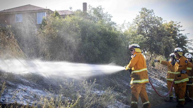 Bridgewater volunteer fire fighters at Herdsmans Cove. Picture: Chris Kidd