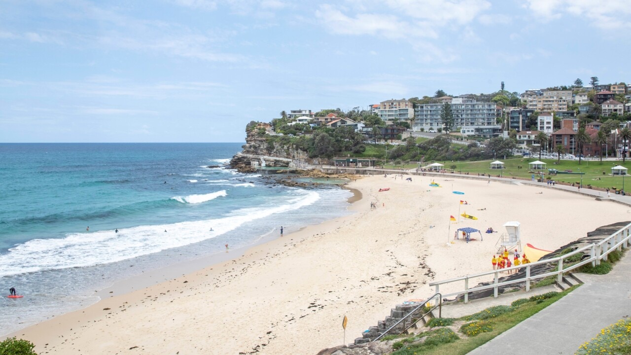 ‘Shattered’: Sydney beach trashed on Christmas and Boxing Day