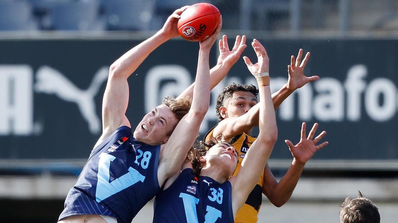 Joshua Weddle looks the most AFL-ready player among this year's talls. Picture: Getty Images