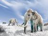 Artist's impression of woolly mammoth