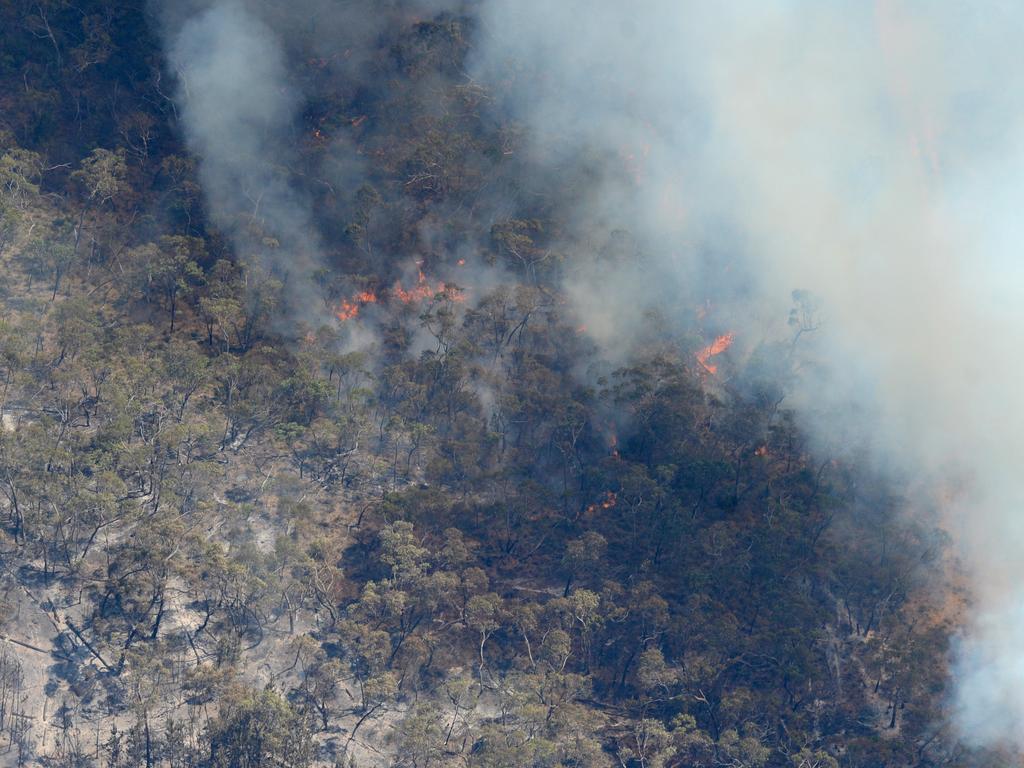 Our pictures: Adelaide Hills bushfire | The Courier Mail