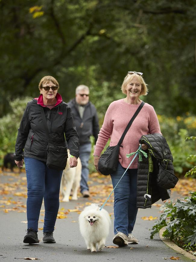 Million Paws Walk in the Adelaide Botanic Gardens, Sunday, May 28, 2023. Picture: Matt Loxton