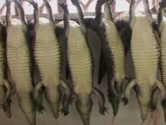 Sac Birkin en crocodile : Hermès promet des sanctions dans les élevages