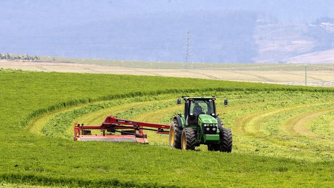 The lucerne industry is worth $100m a year to Australia. Picture: Chris Kidd