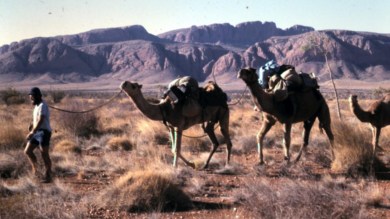 Richard "Dick" Kimber on a camel trek between Mt Liebig and Papunya.