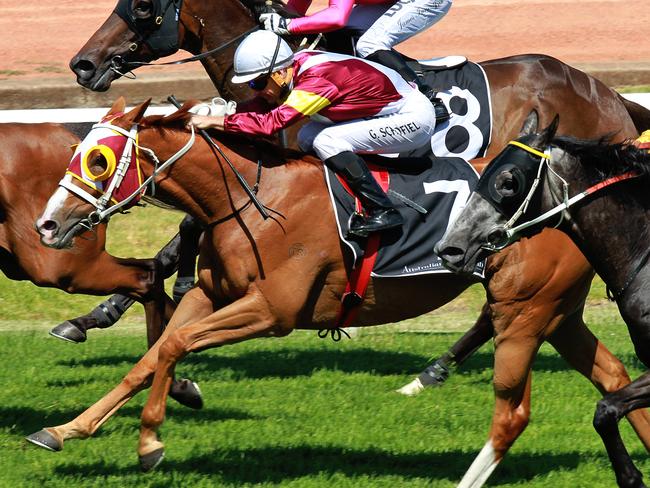 Soviet Courage ridden by Glyn Schofield (#7) wins race 5 at Rosehill Gardens. Pic Jenny Evans
