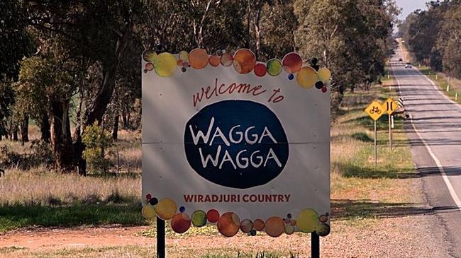 The horses were found on a property near Wagga Wagga.