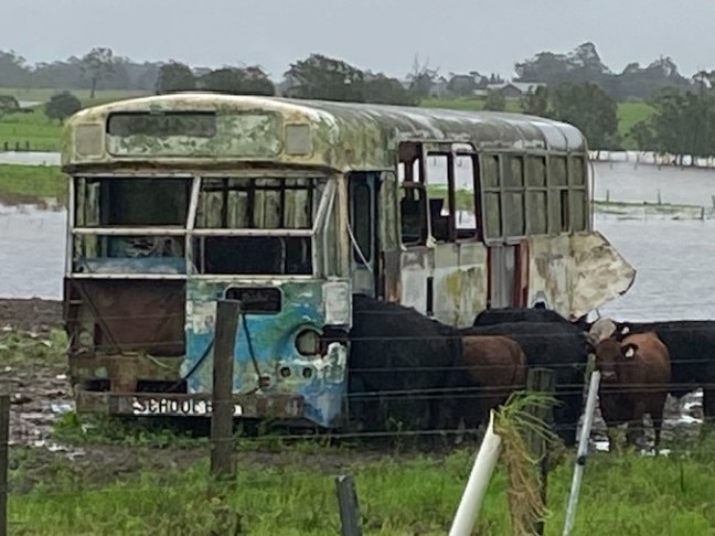 Several parts of NSW were lashed with rain, pictured in Nelsons Plains near Port Stephens. Picture: Irene Ziemba