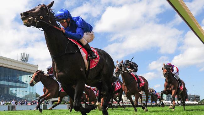 Bow Creek is favourite for the Australian Cup at Flemington.