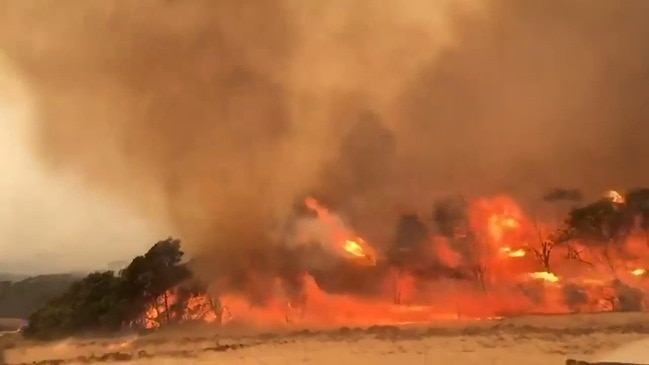 RAW: Fire tornado tears through Kangaroo Island