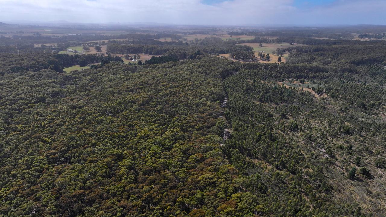 Part of the vast area searched in the hunt for the missing mum. Picture: NCA NewsWire/Ian Wilson