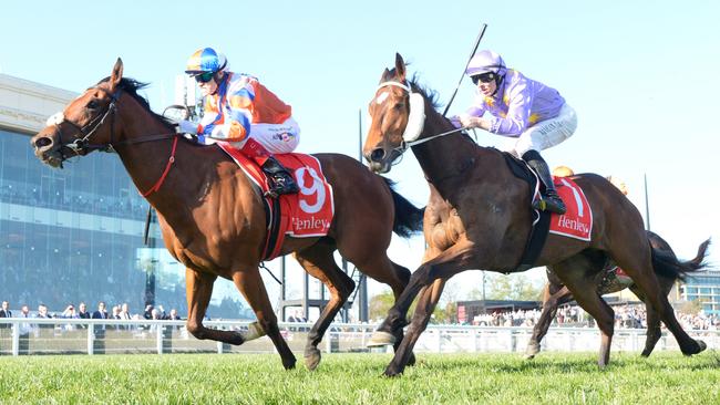 Oscar’s Fortune (right) running second behind Bellatrix Star in the Group 2 Schillaci Stakes last October, his best result in Melbourne. Picture: Brett Holburt/Racing Photos via Getty Images