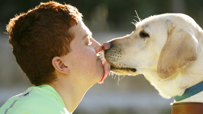 Ben Said, 17, with his guide dog Jontie. Picture: Tim Pascoe