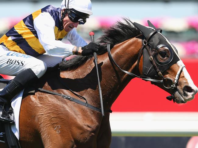 MELBOURNE, AUSTRALIA - OCTOBER 29:  Jockey Glenn Boss riding Tom Melbourne leads down the straight in race 4 The Lexus Stakes on Derby Day at Flemington Racecourse on October 29, 2016 in Melbourne, Australia.  (Photo by Michael Dodge/Getty Images)