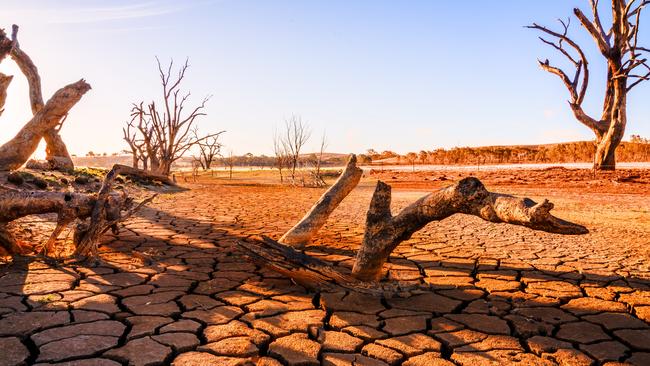 Within 50 years, warming could force more than a billion people to migrate because their homelands will be too hot to occupy, according to the study.