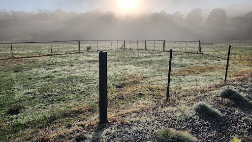 This morning was the coldest since August 2021. Picture: Lynton Grace