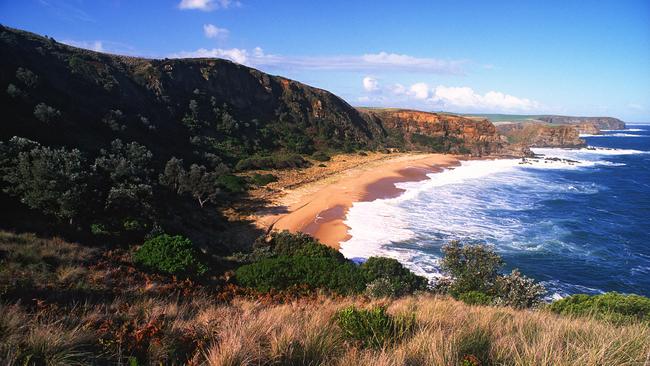 A search operation is underway near the George Bass Coastal Walk.