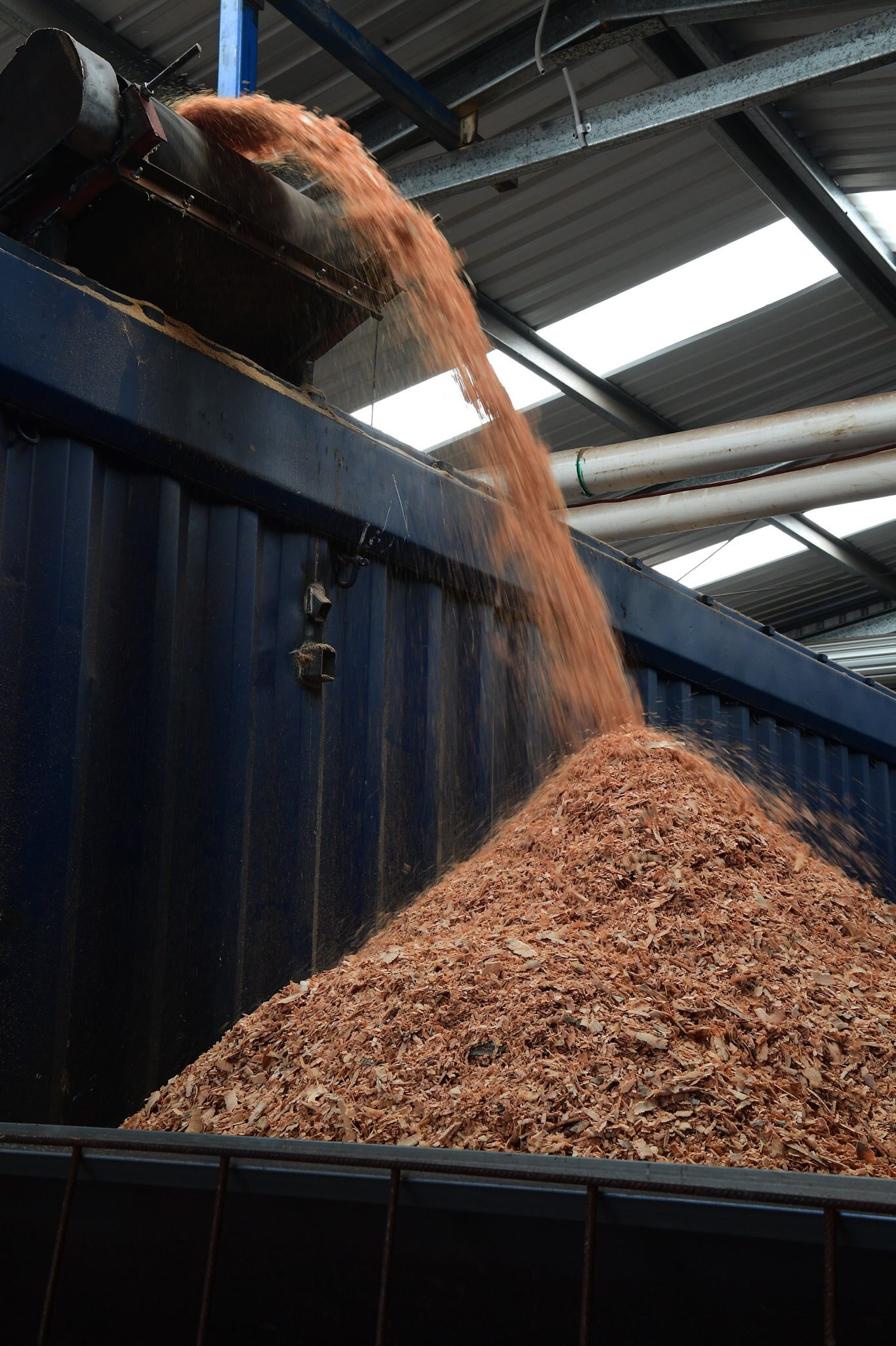 Wood chip from the pine core at Essential Queenslands manufacturing plant. Picture: Mike Knott